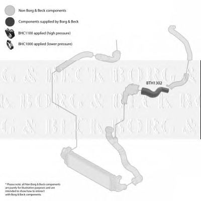 BORG & BECK bth1302 -  Трубка нагнетаемого воздуха